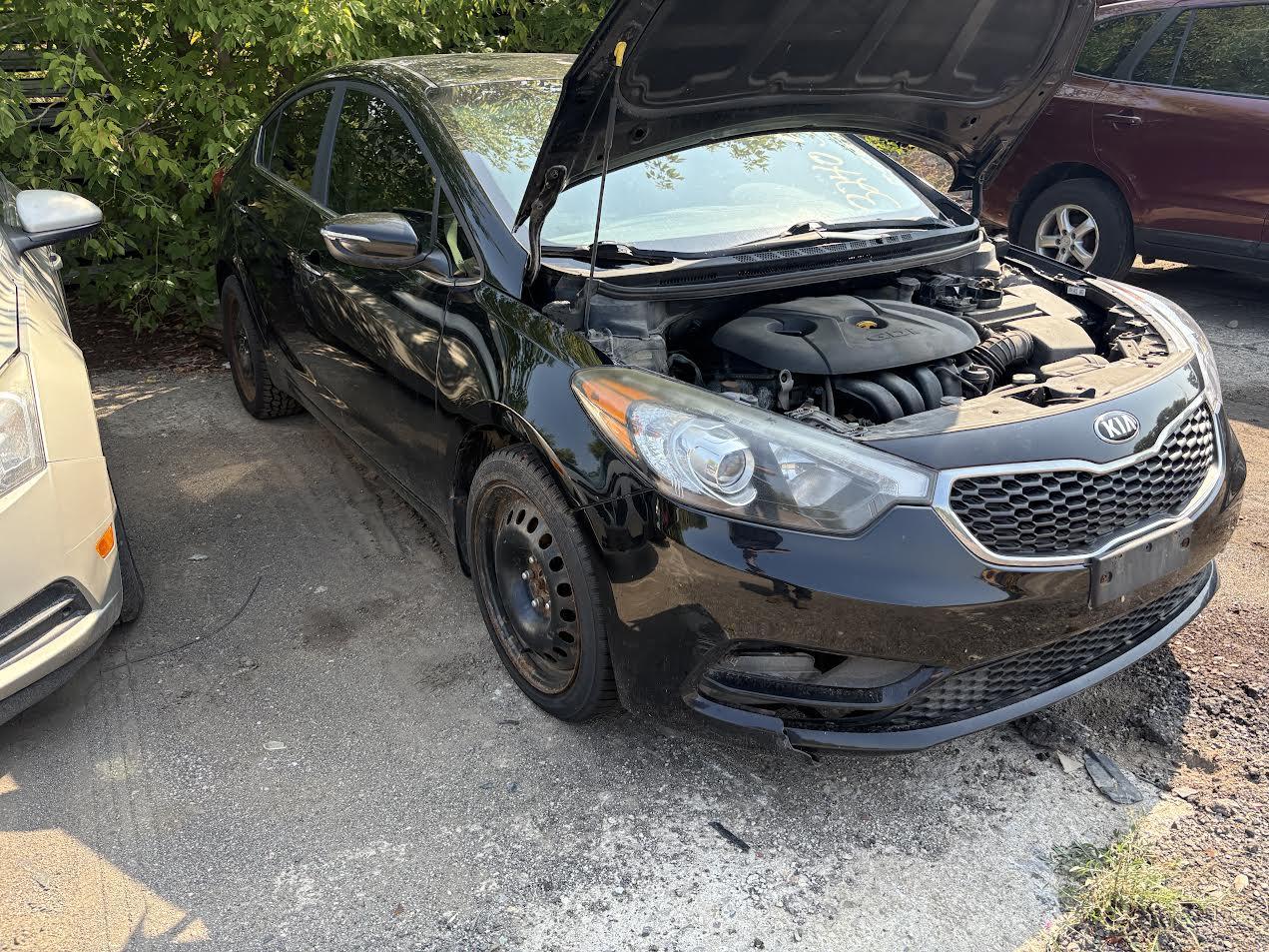 Used OEM RH Headlight fits 2014-2017 Kia Forte 92102A7211 92102A7210