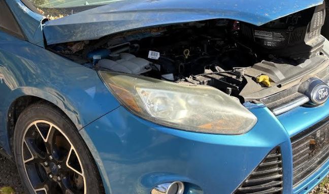 Used OEM RH Passenger Side Halogen Headlight fits 2012-2014 Ford Focus BM5Z13008H