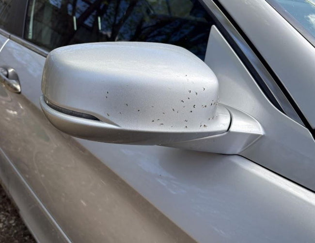 Rétroviseur extérieur droit d'origine (OEM) d'occasion, sans surveillance d'angle mort, compatible avec Honda Accord Berline 2013-2015 (références : 76200T2GA11ZE et 76200T2GA12ZE).