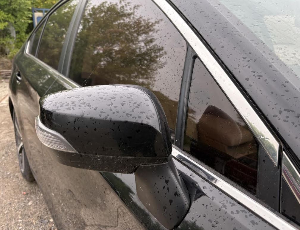 Used OEM RH Passenger Side Mirror fits 2015-2017 Subaru Legacy