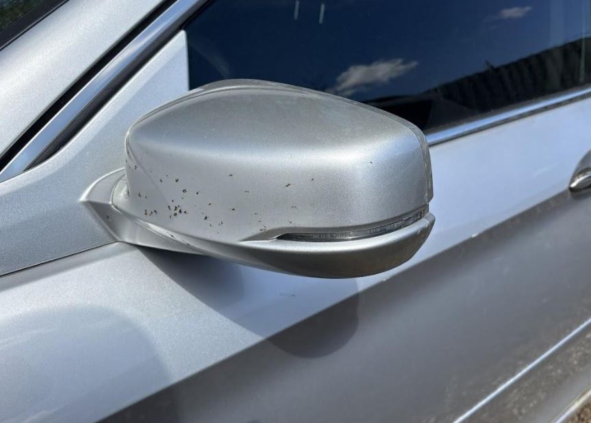 Used OEM LH Driver Door Mirror w/o blind spot 2013-2017 Honda Accord Sedan