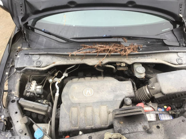 Used OEM Transfer Case fits 2013-2018 Acura RDX 29000R8B000