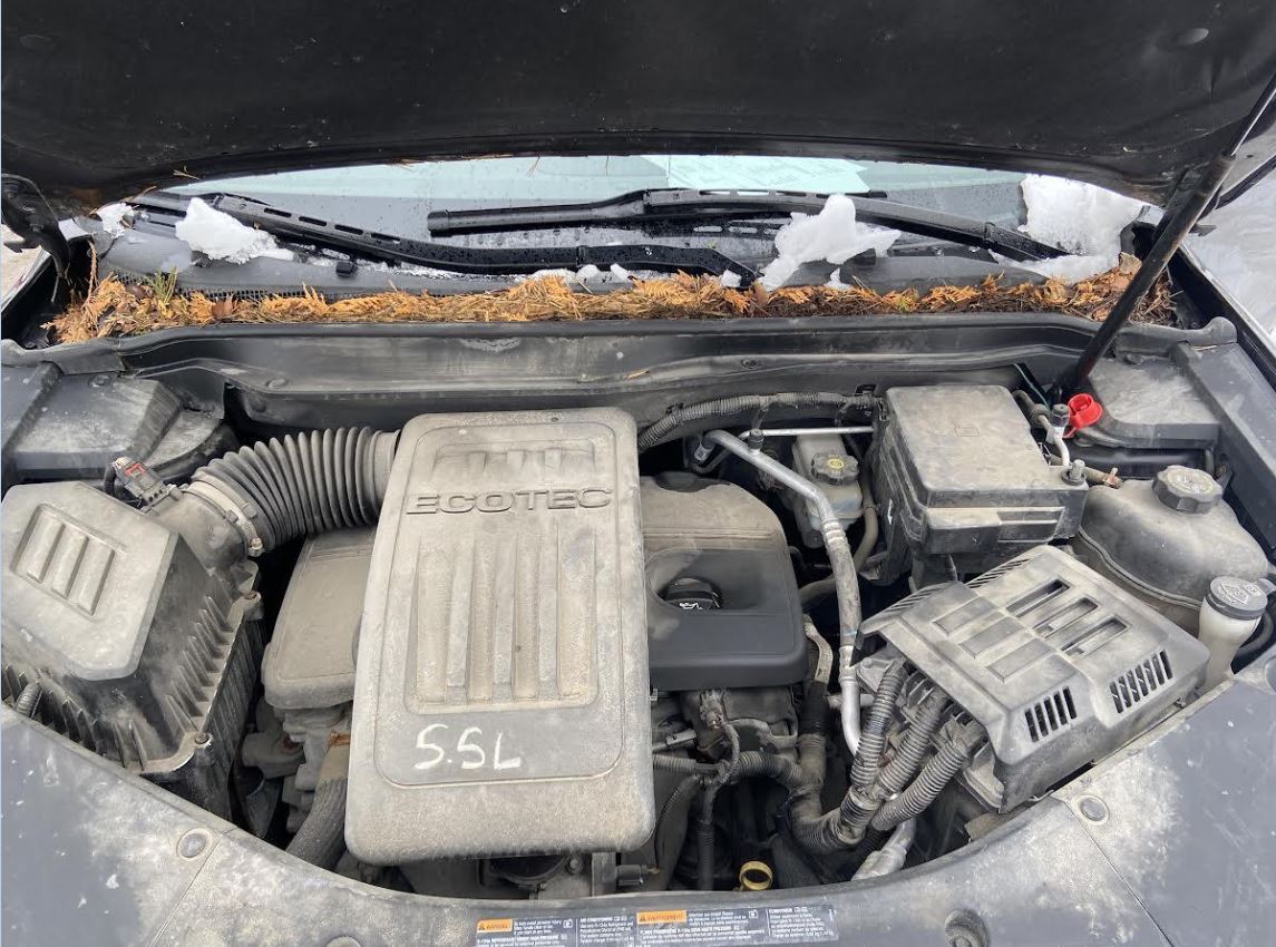 Used OEM Carrier Assembly Rear Axle fits 2010-2017 Chevrolet Equinox 2010-2017 GMC Terrain