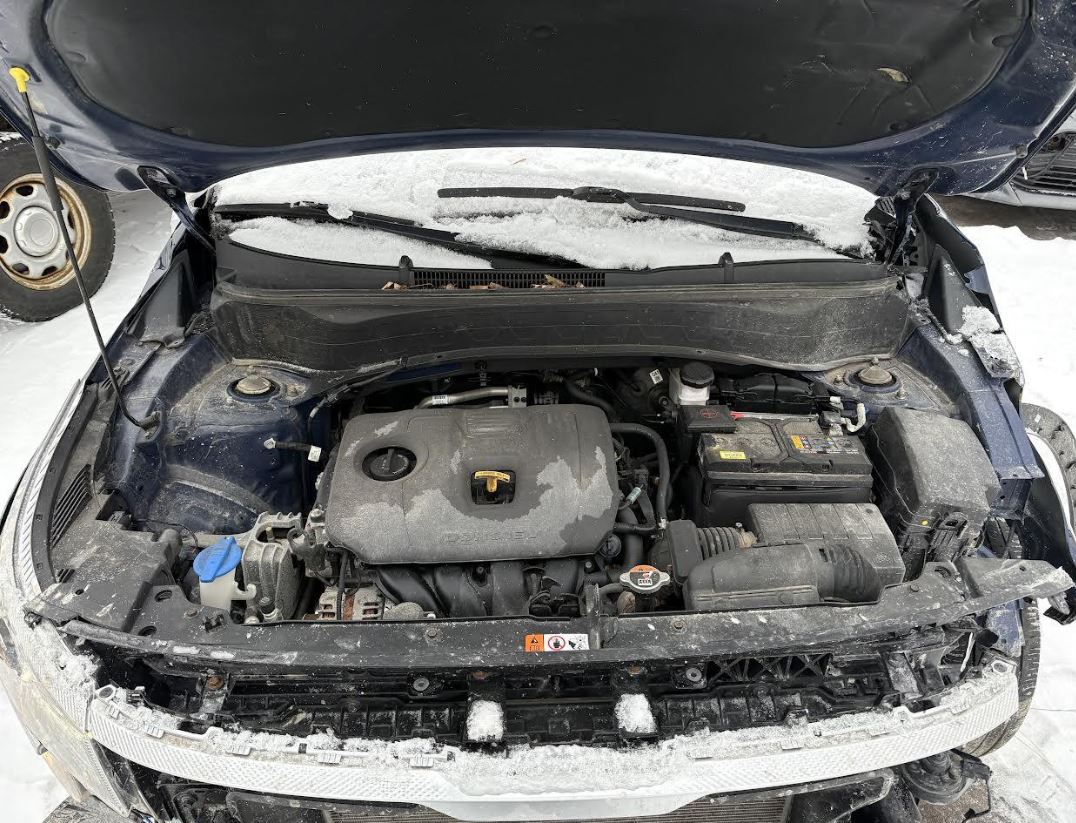 Used OEM Starter Motor 2.0L fits Kia 2020-2024 soul, 2021-2024 Seltos, Hyundai 2022-2024 Kona, 2021-2024