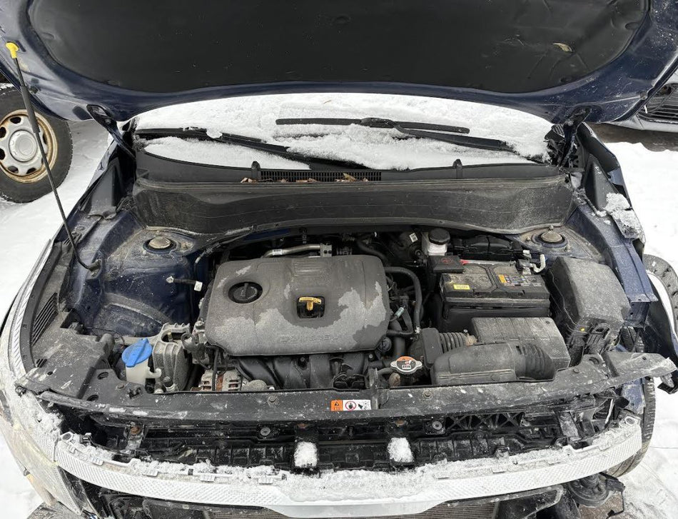 Used OEM Starter Motor 2.0L fits Kia 2020-2024 soul, 2021-2024 Seltos, Hyundai 2022-2024 Kona, 2021-2024