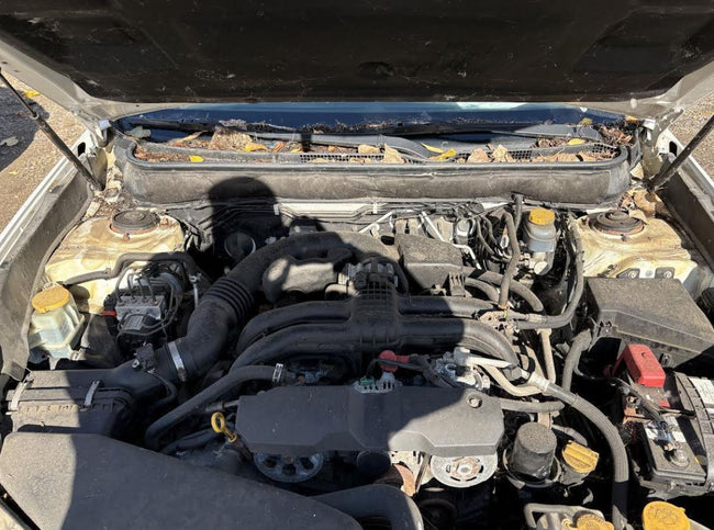 Used OEM Starter Motor fits  2008-2014 Subaru Legacy 2.5L 2015 Legacy 3.6L 23300AA59B 23300AA59A