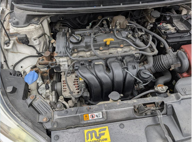 Used OEM Starter Motor fits 2014-2016 Hyundai Elantra 361002E131