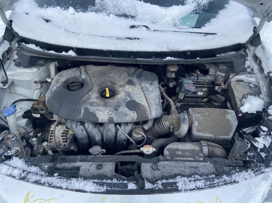 Used OEM Starter Motor fits 2016-2018 Hyundai Elantra 2.0L 361002E250
